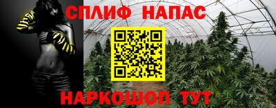 гашиш Жуковский