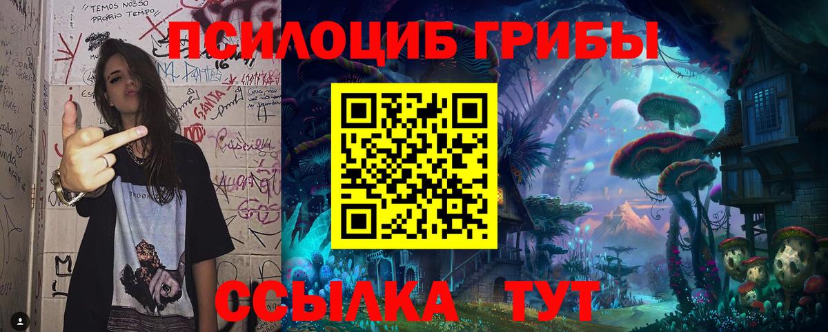 Псилоцибиновые грибы Cubensis  Вход с VPN  Лабинск 